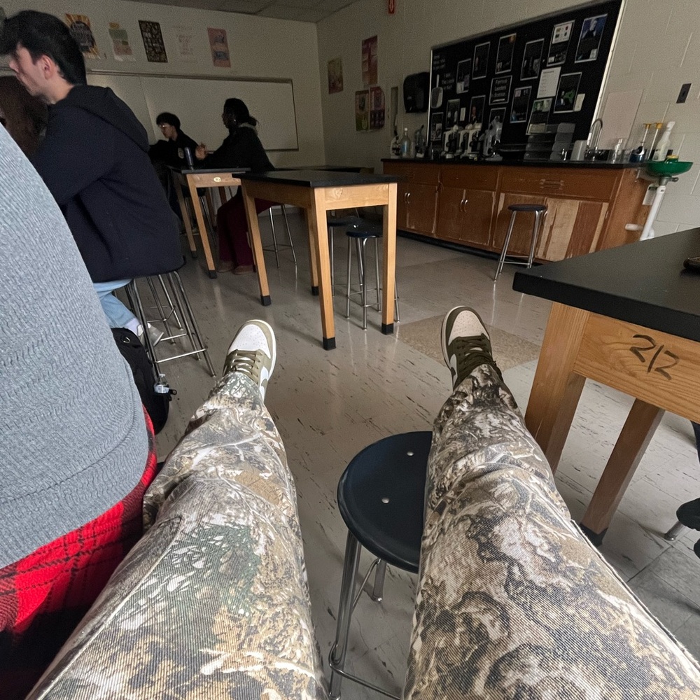 Medium Olive Dunks Sb - image 5